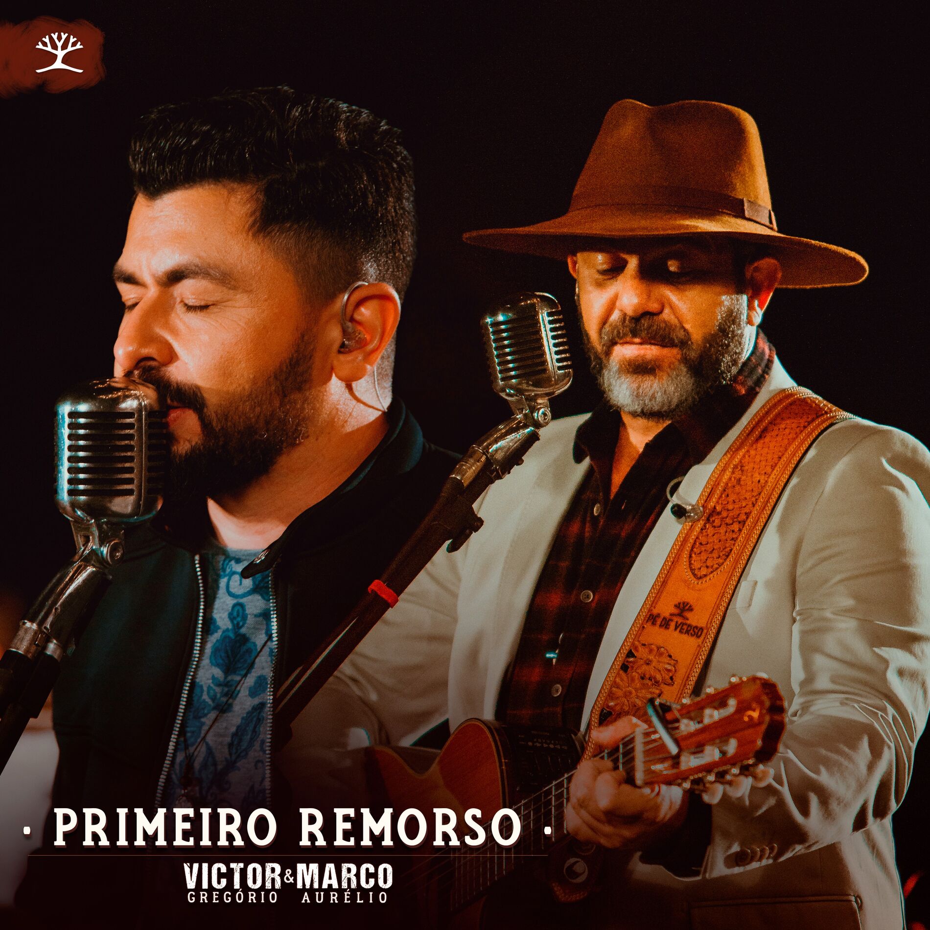 Album cover of Primeiro Remorso