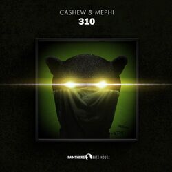 Cover of 310