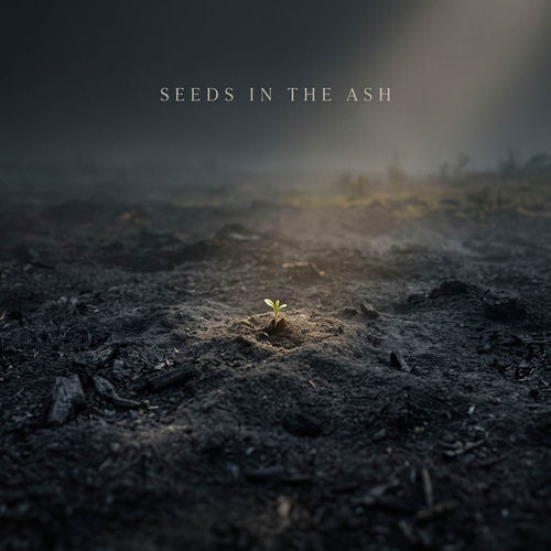 Seeds in the Ash