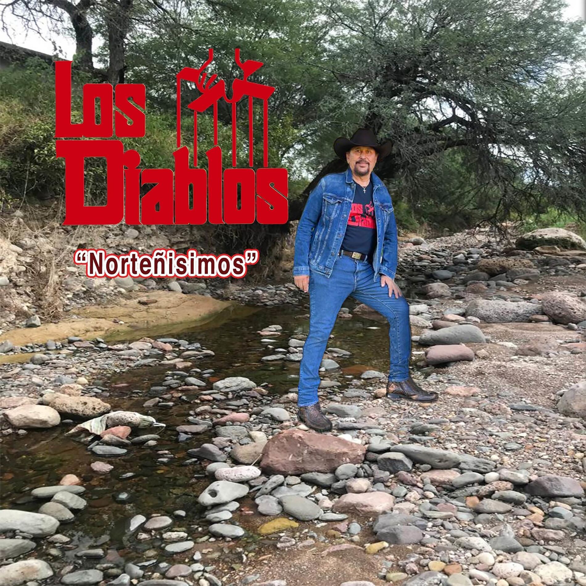 Album cover of Nortenisimos