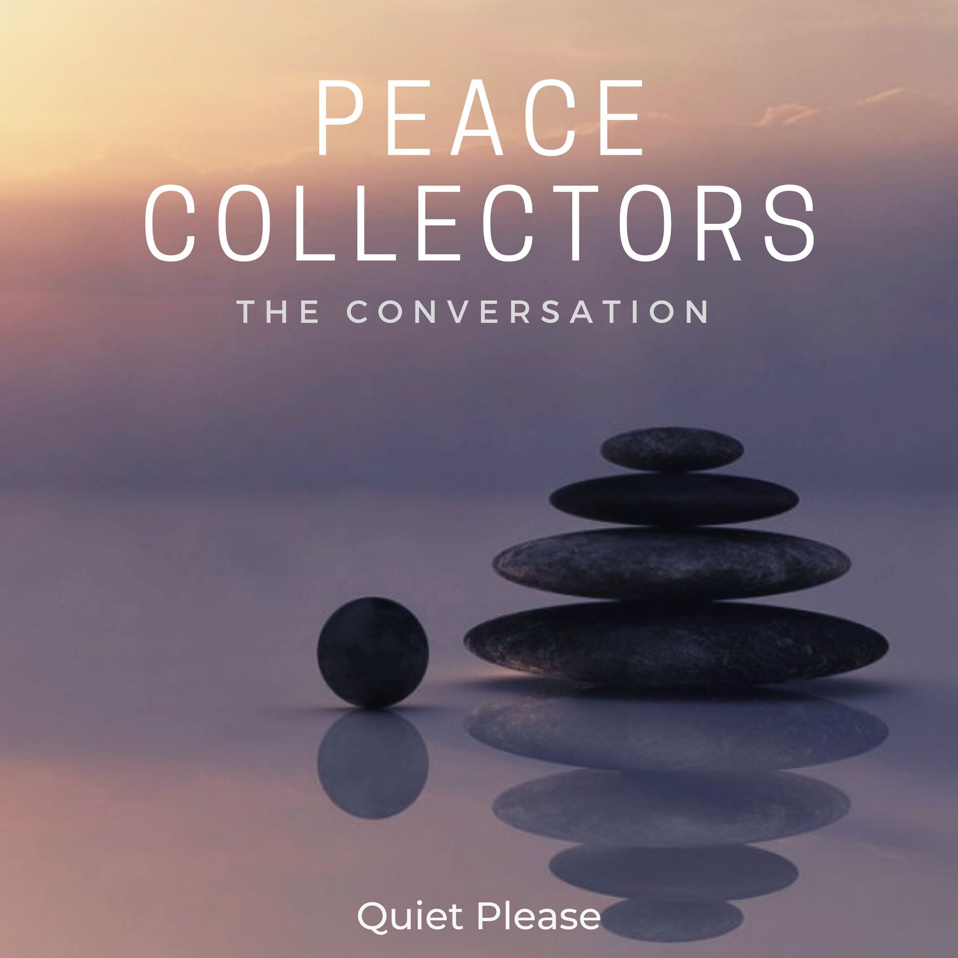 Album cover of The Conversation