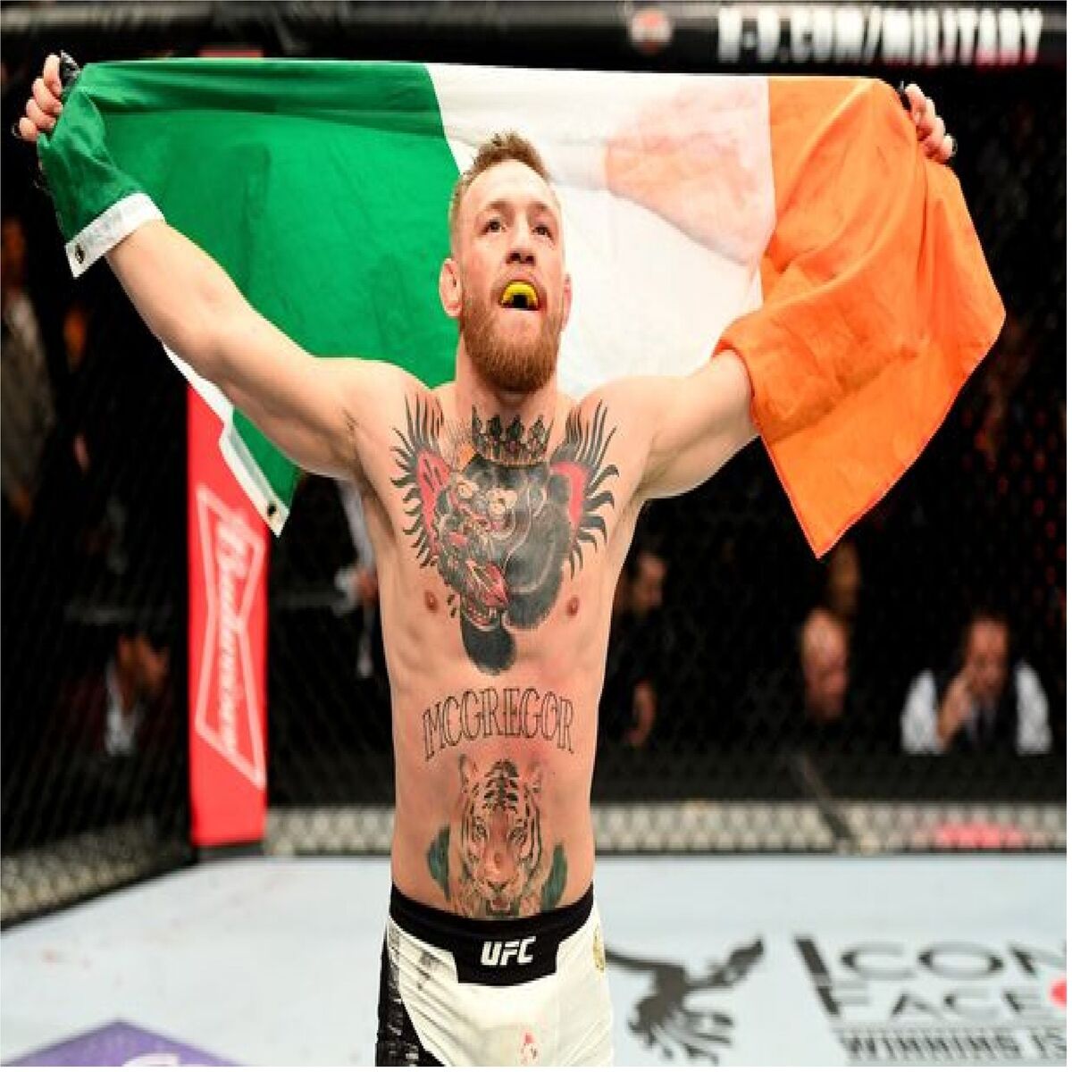 Album cover of There's Only One Conor McGregor