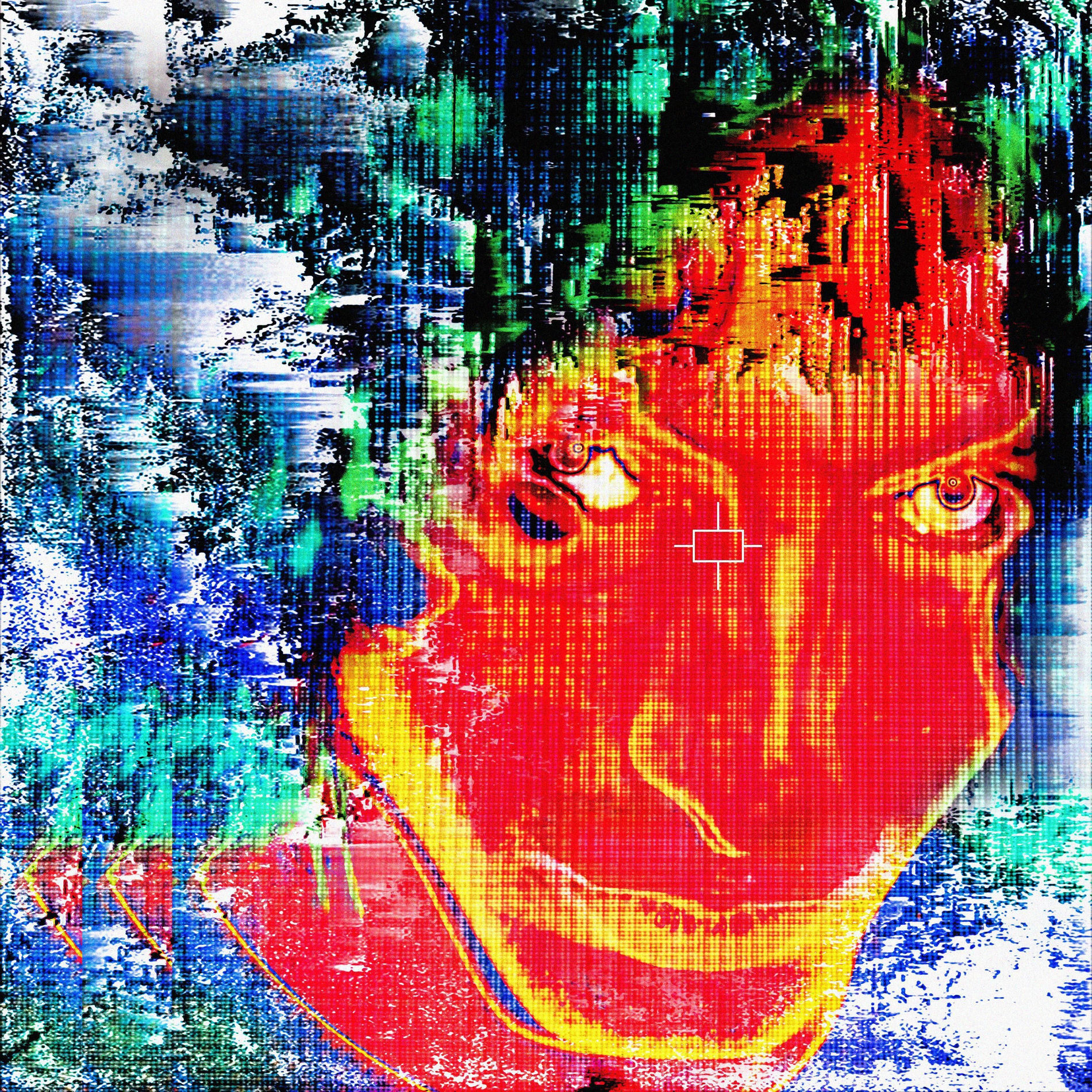 Album cover of BUGONIA