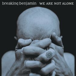 Cover of We Are Not Alone (Clean Version)