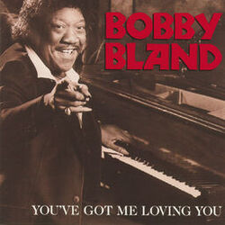 Cover of You've Got Me Loving You