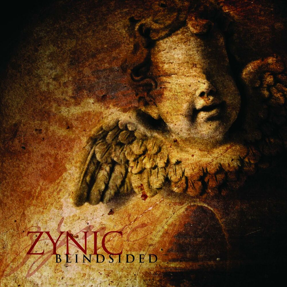 Picture of Blindsided