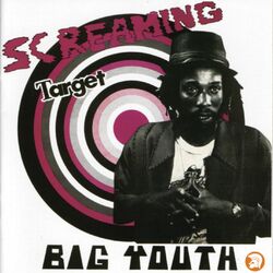 Cover of Screaming Target