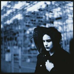 Cover of Blunderbuss