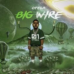 Cover of Big wire