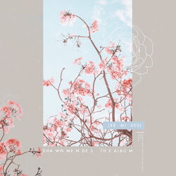 Cover of The Album (Remixes)