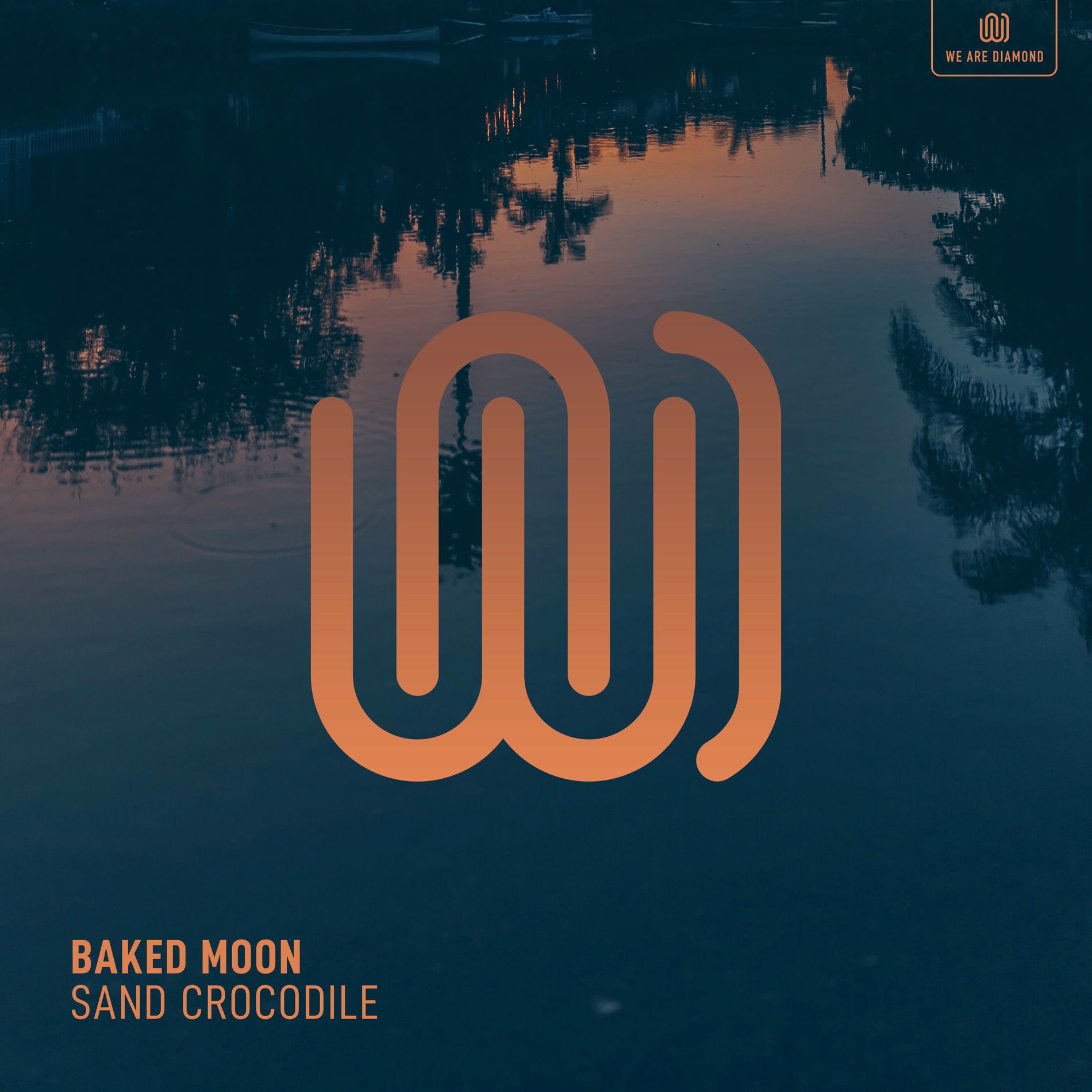 Album cover of Sand Crocodile