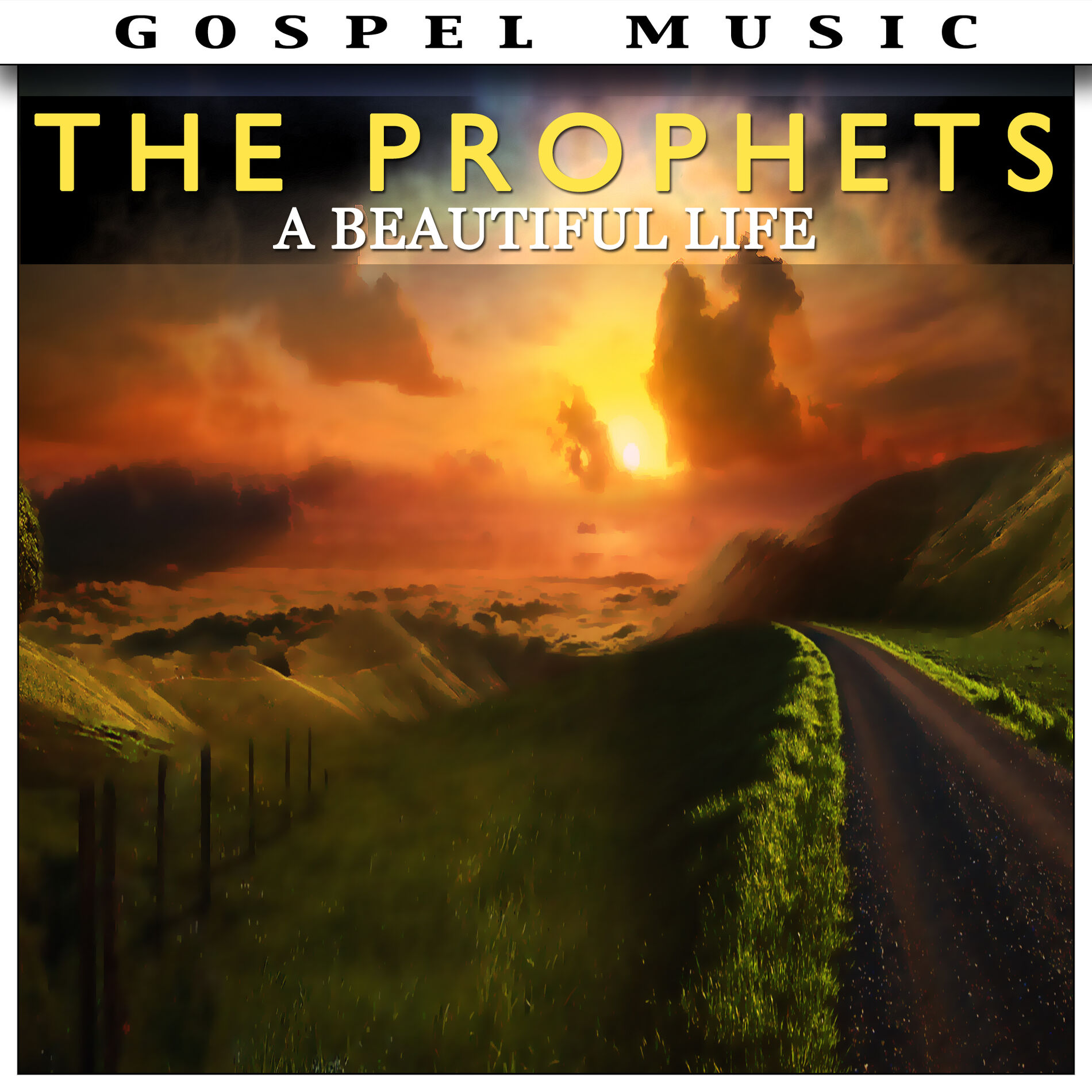 Album cover of A Beautiful Life - The Prophets