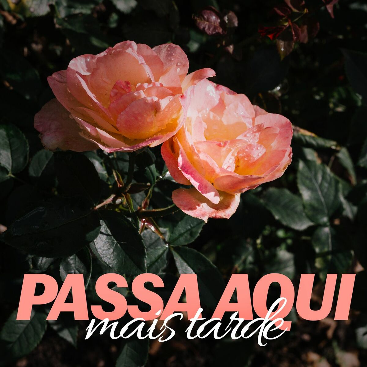 Album cover of Passa aqui mais tarde