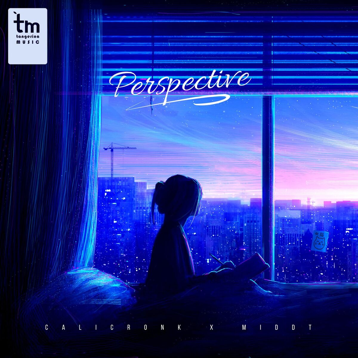 Album cover of Perspective