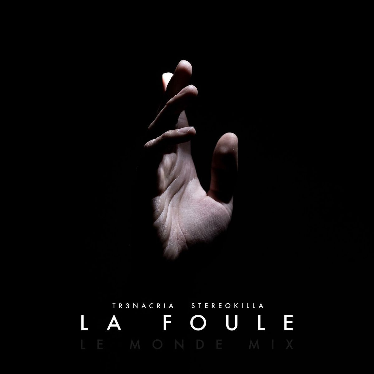Album cover of La Foule (feat. StereoKilla)