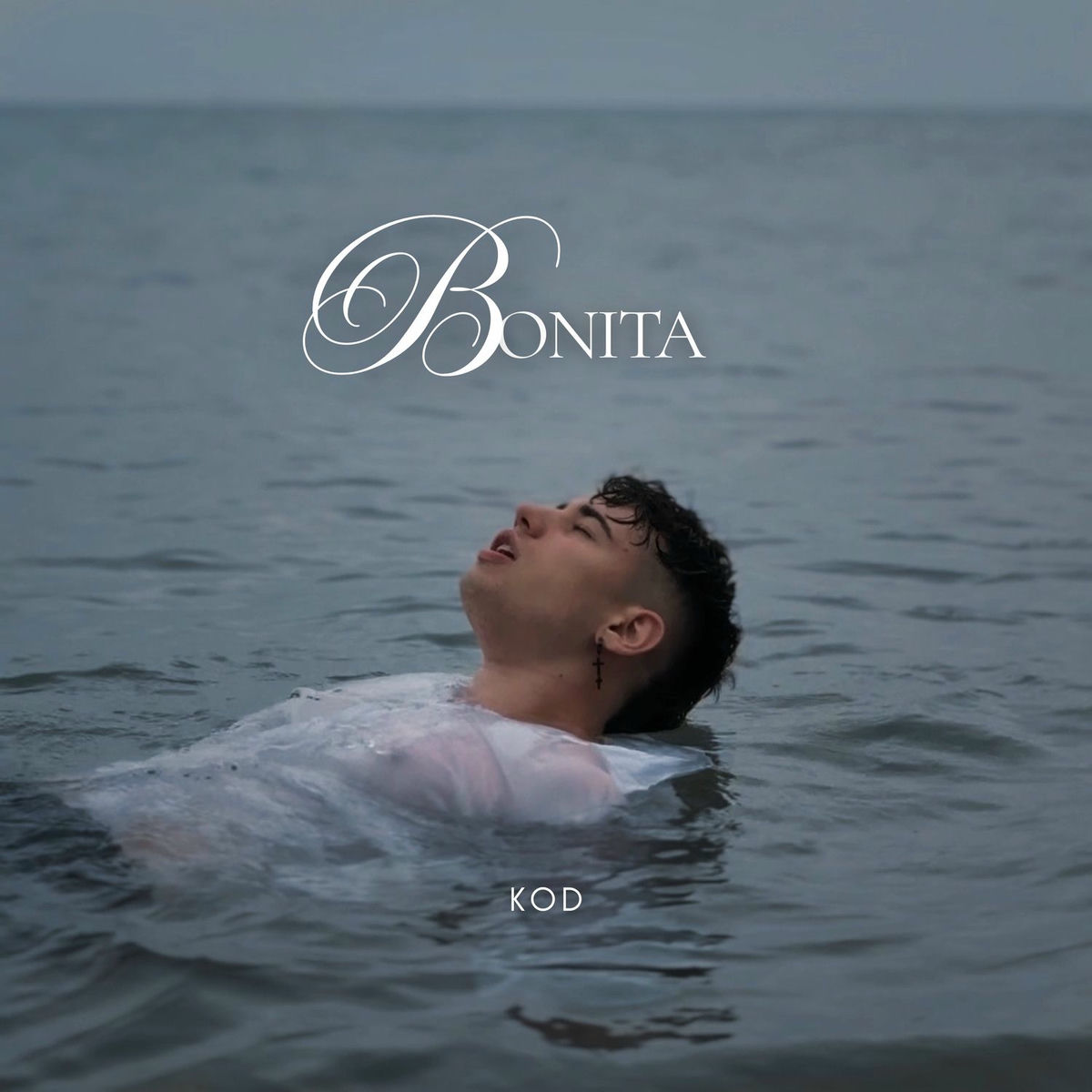 Album cover of Bonita