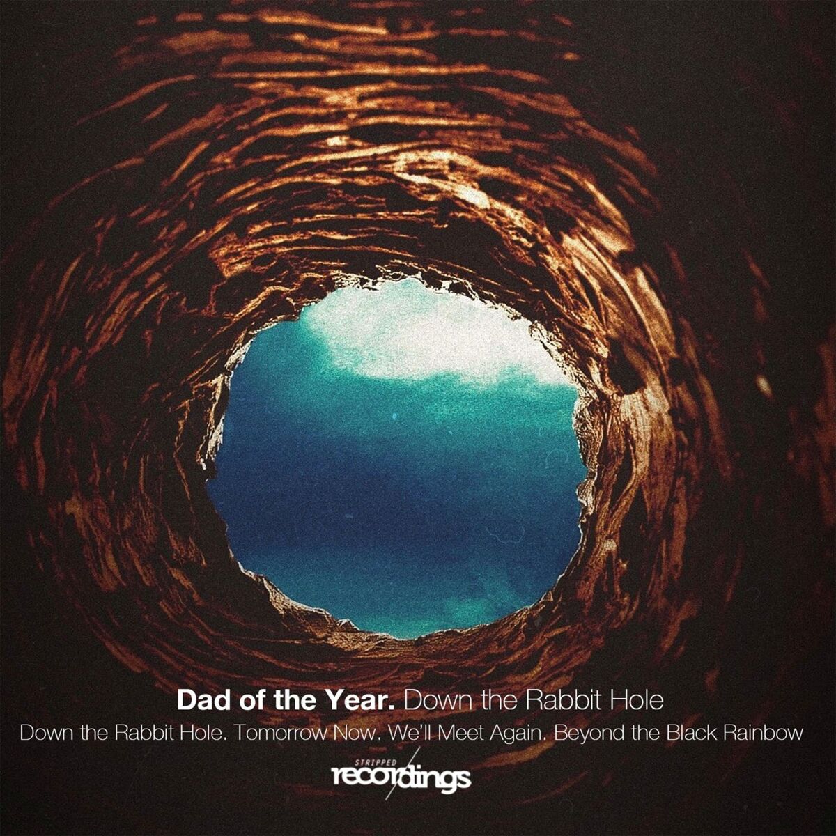 Album cover of Down the Rabbit Hole