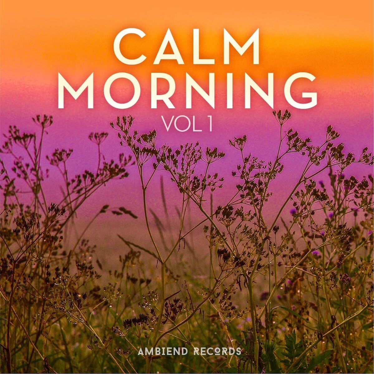 Album cover of Calm Morning (Vol 1)