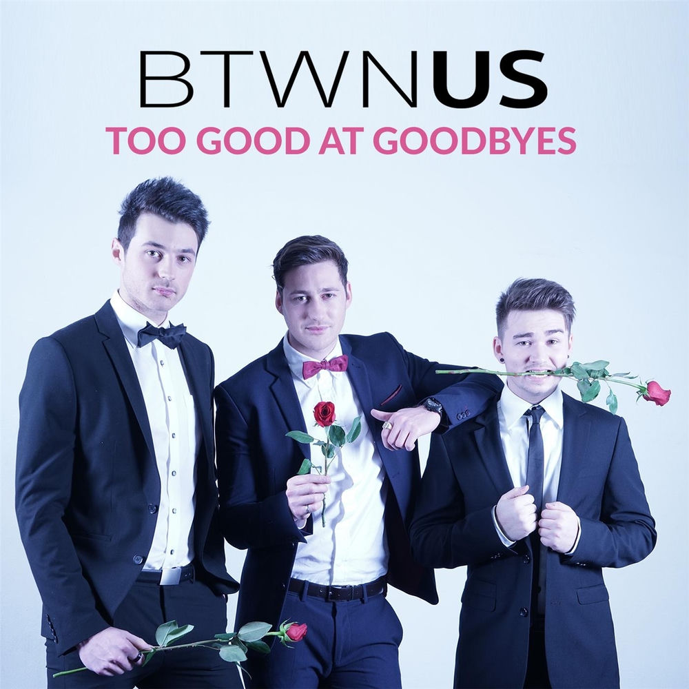 Album artwork for Too Good at Goodbyes by Btwn Us