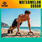 Watermelon Sugar (Workout Version 132 BPM - 32 Count)
