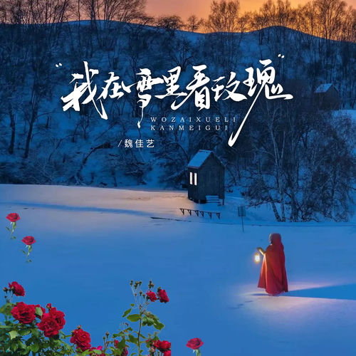 我在雪里看玫瑰 (节奏版)