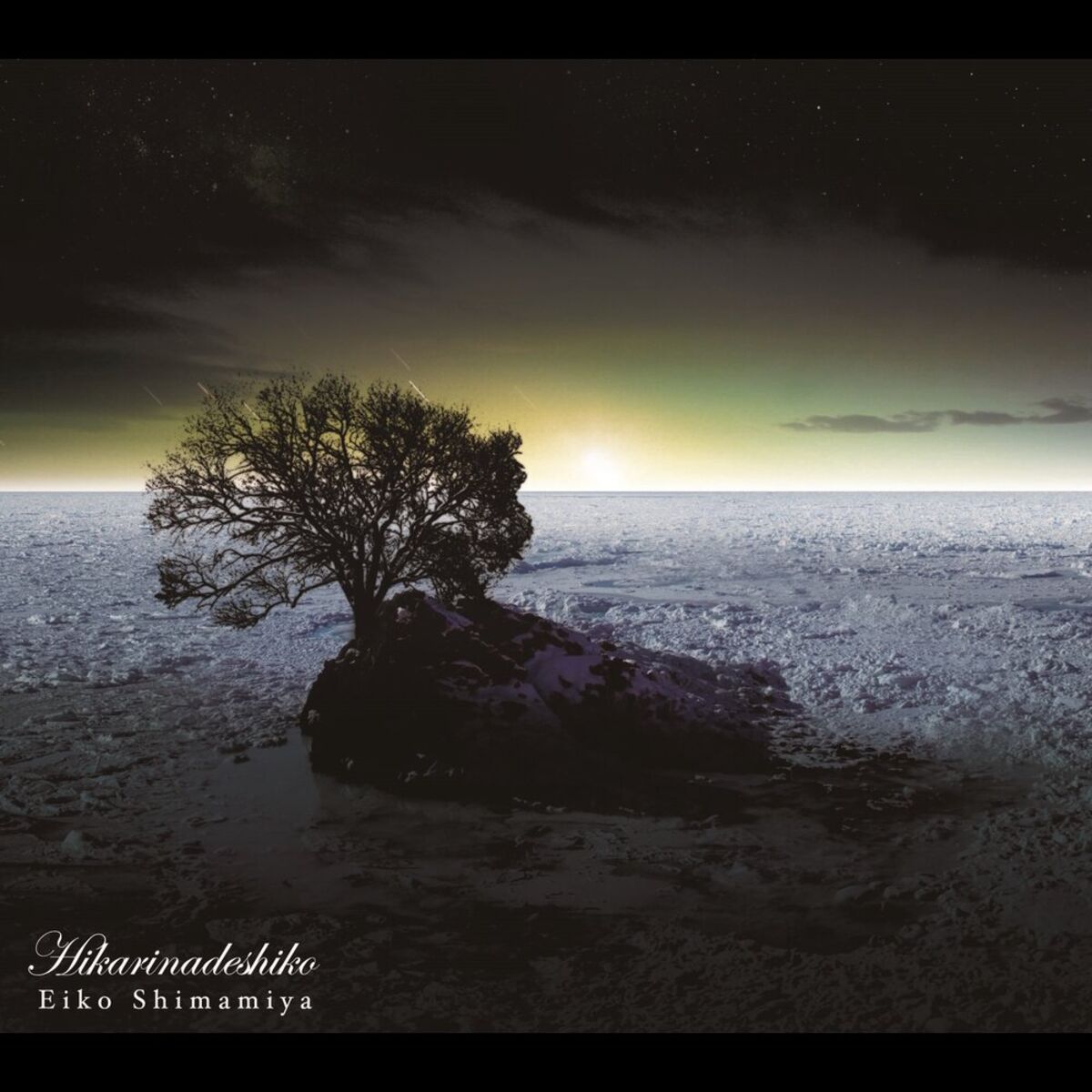 Album cover of Hikarinadeshiko