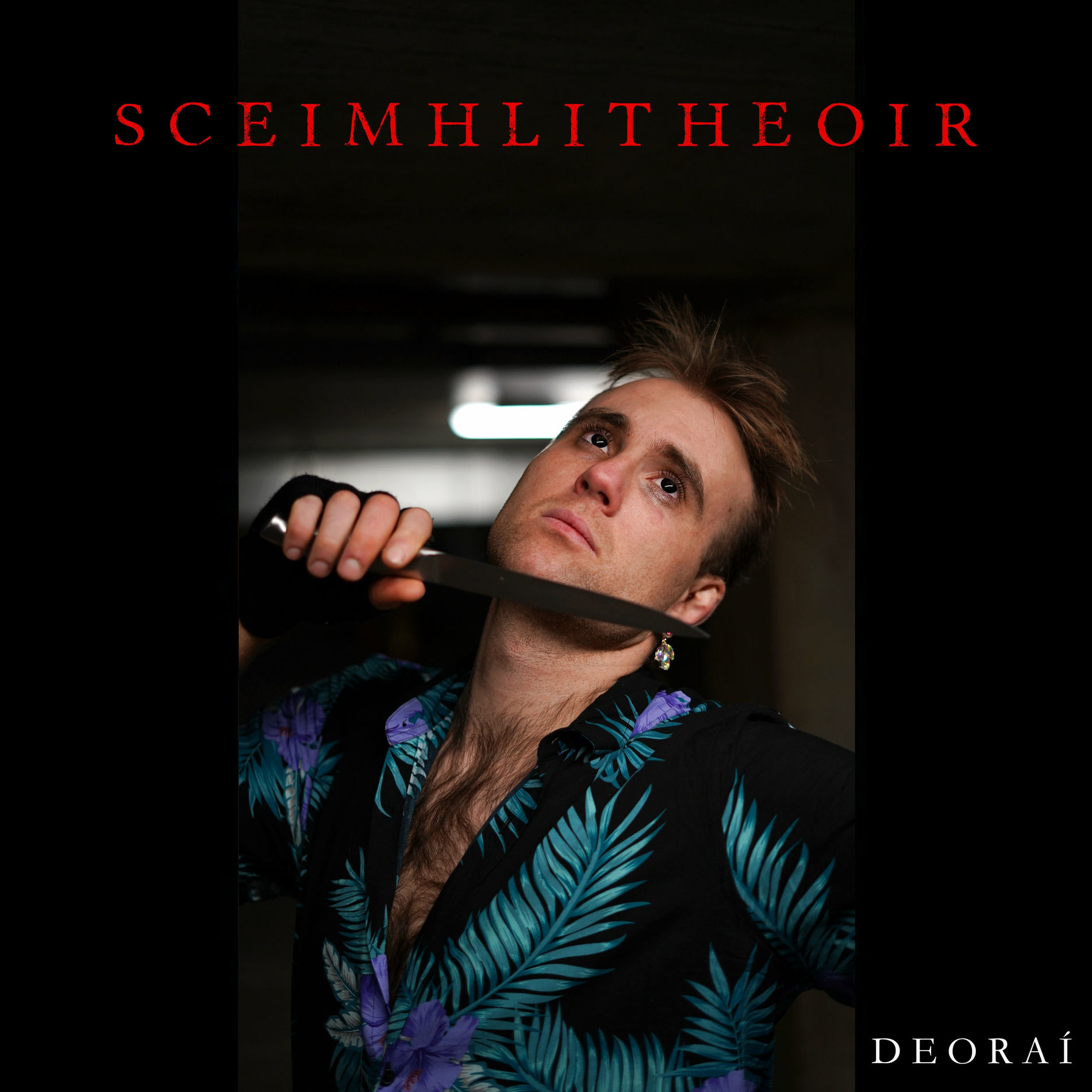 Album cover of Sceimhlitheoir