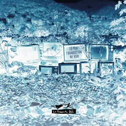 Cover of To the Foundation of Dub