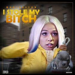Cover of I Stole My Bitch
