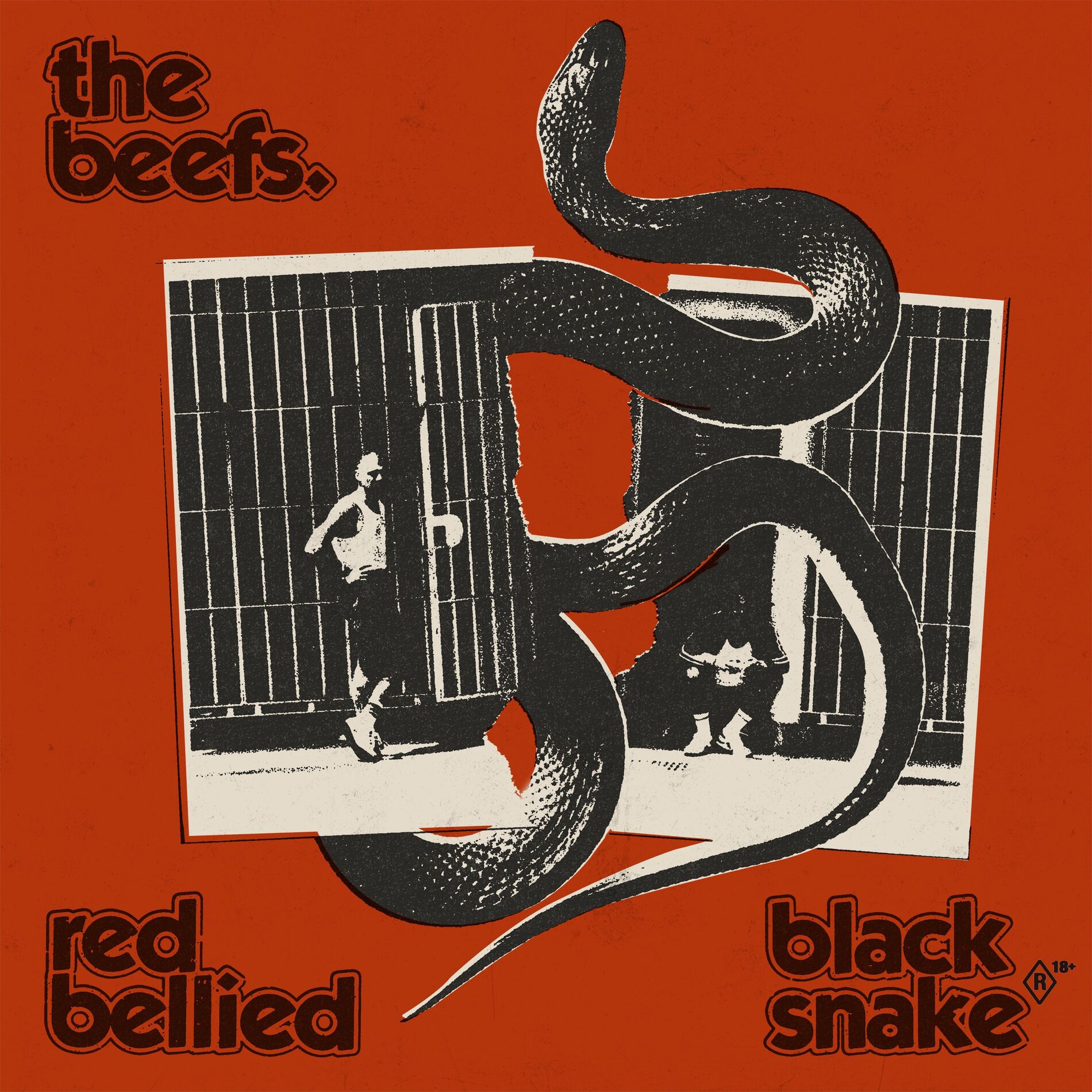 Album cover of Red Bellied Black Snake