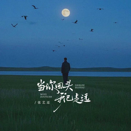 当你回头我已走远