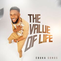 Cover of The Value Of Life