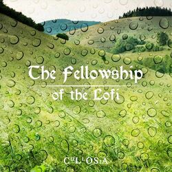 Cover of The Fellowship of the Lofi