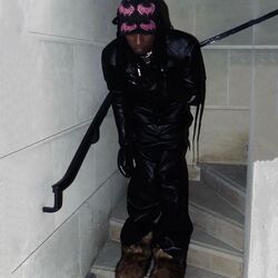 Cover of Narcissist 2