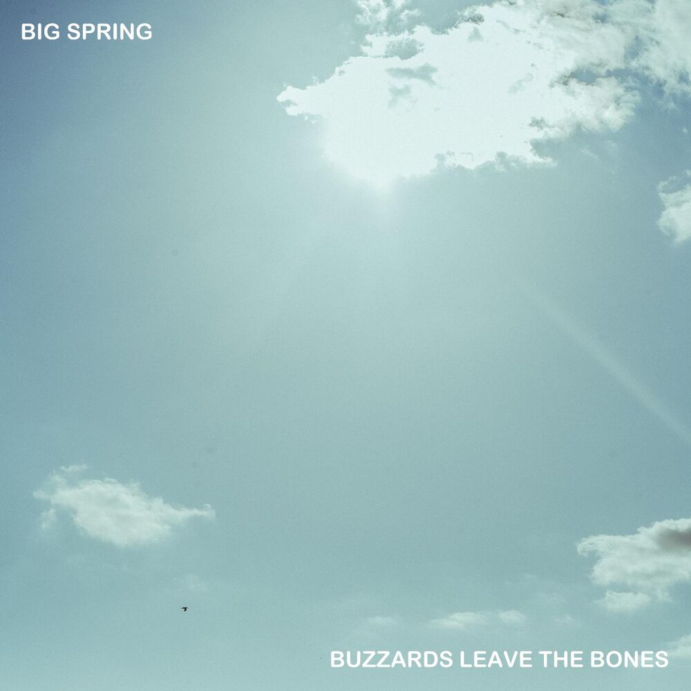 Picture of Buzzards Leave the Bones