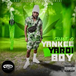 Cover of Yankee Yardi Boy