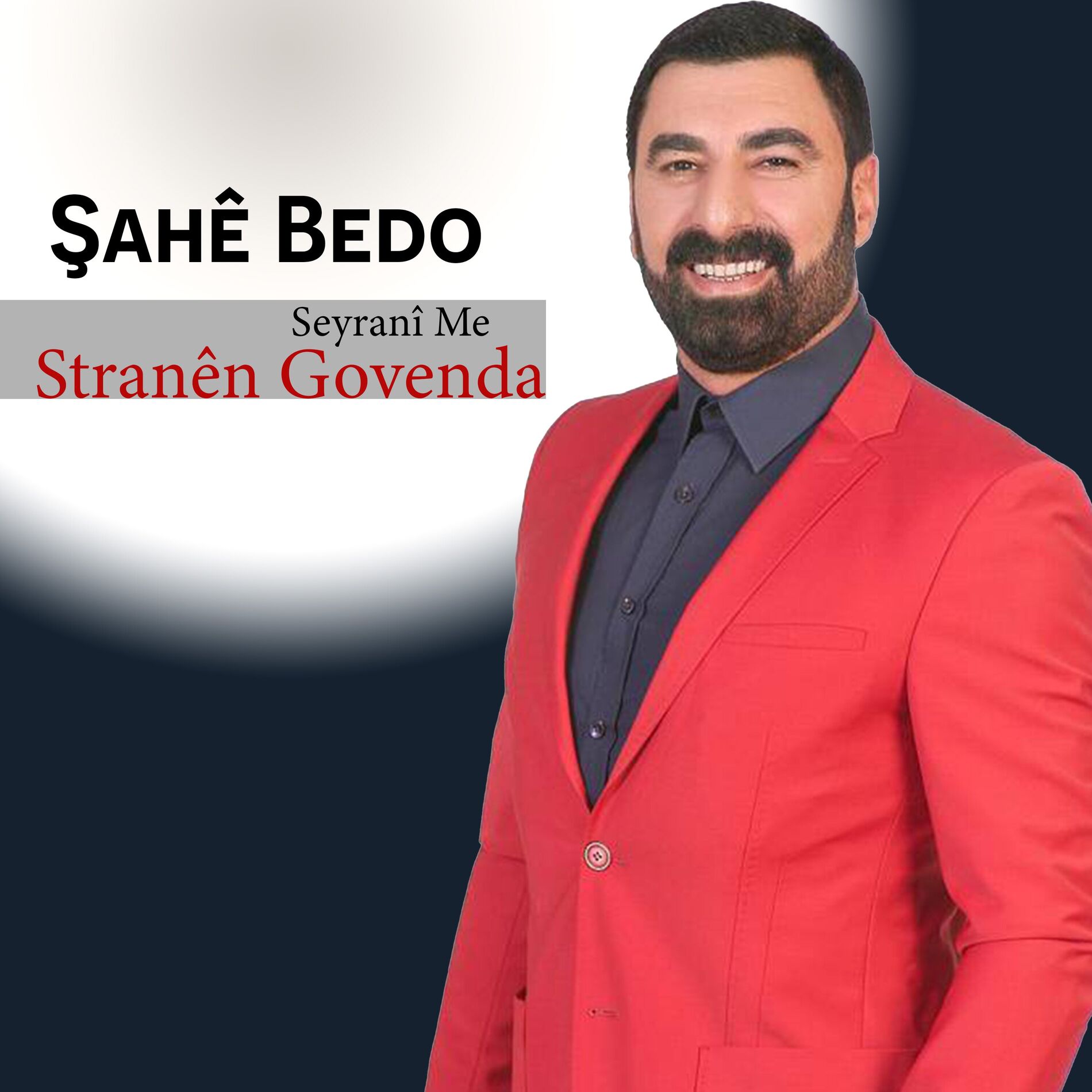 Album cover of Stranen Govenda Seyrani Me