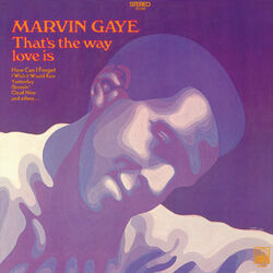 Cover of That's The Way Love Is