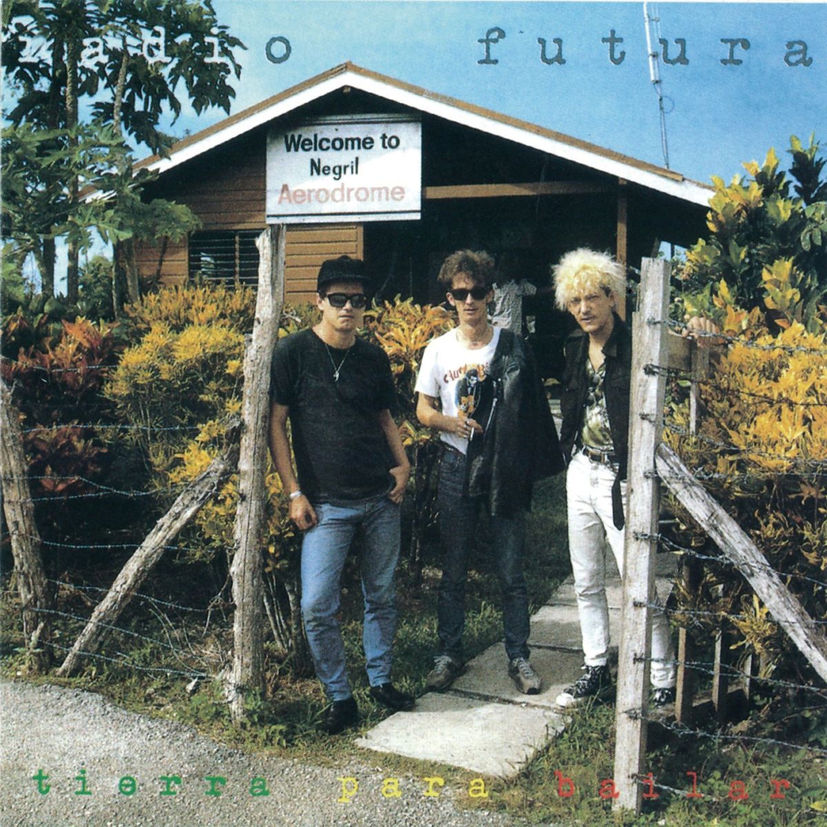 Album cover of Tierra Para Bailar