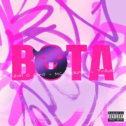 Cover of Bota