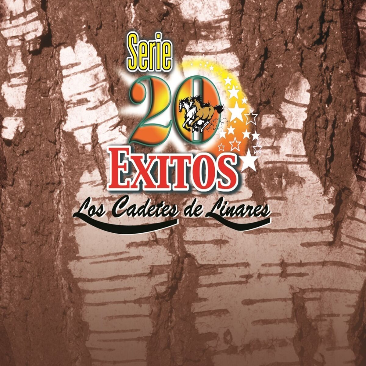 Album cover of Serie 20 Exitos