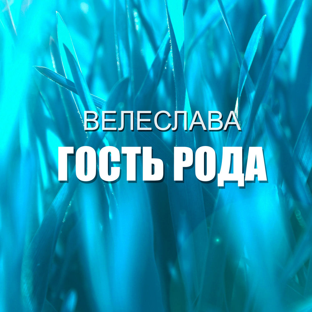 Гость рода