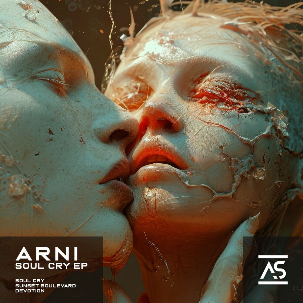 Picture of Soul Cry
