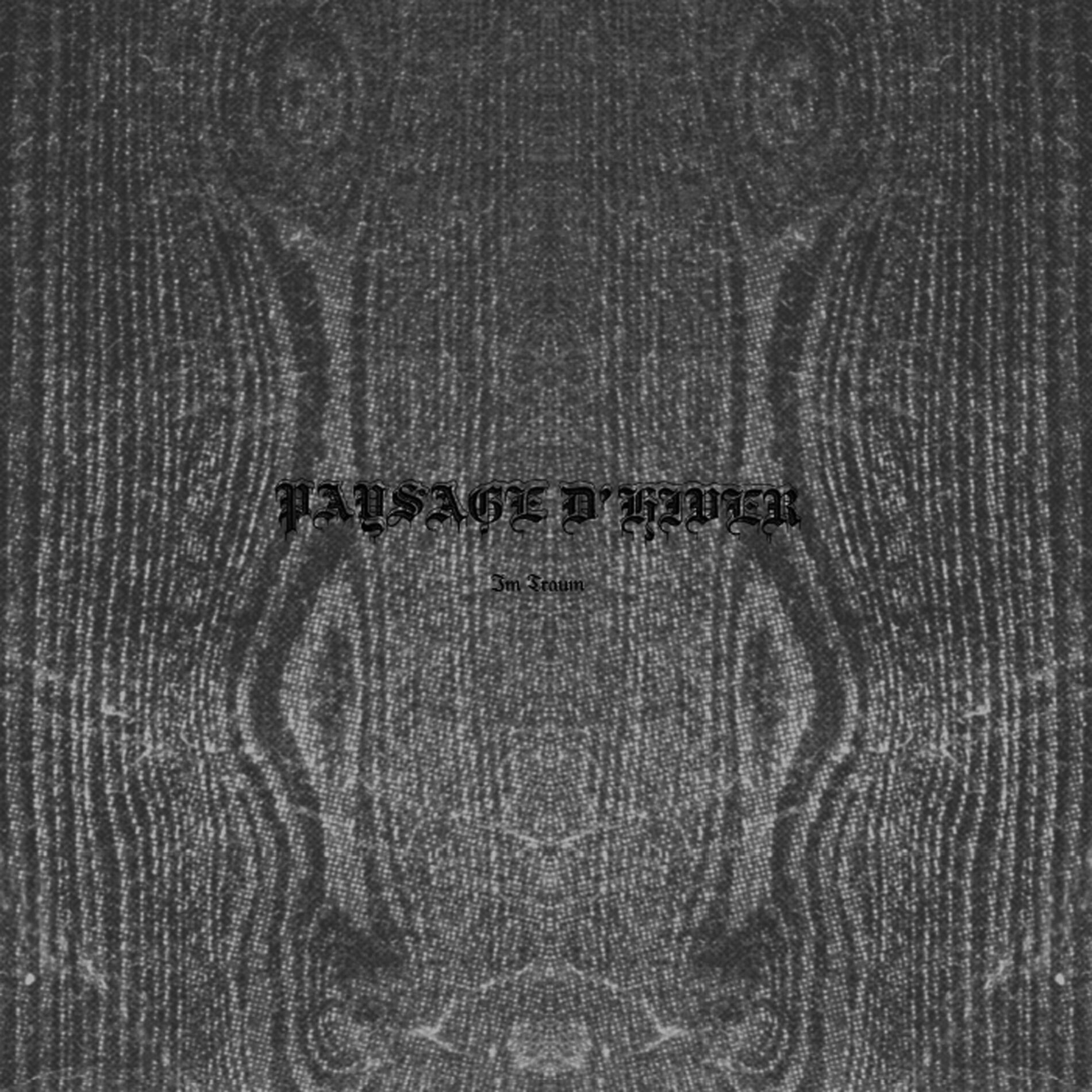 Album cover of Im Traum