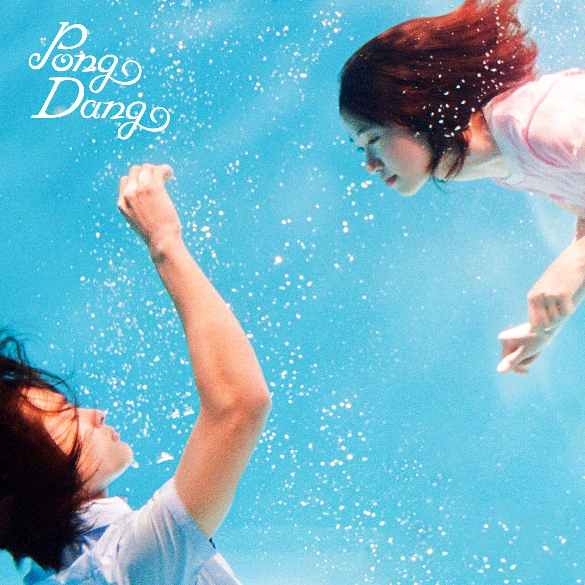 Album cover of Pong Dang