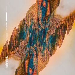 Cover of Override