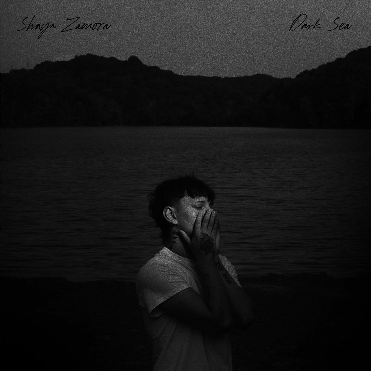 Album cover of Dark Sea