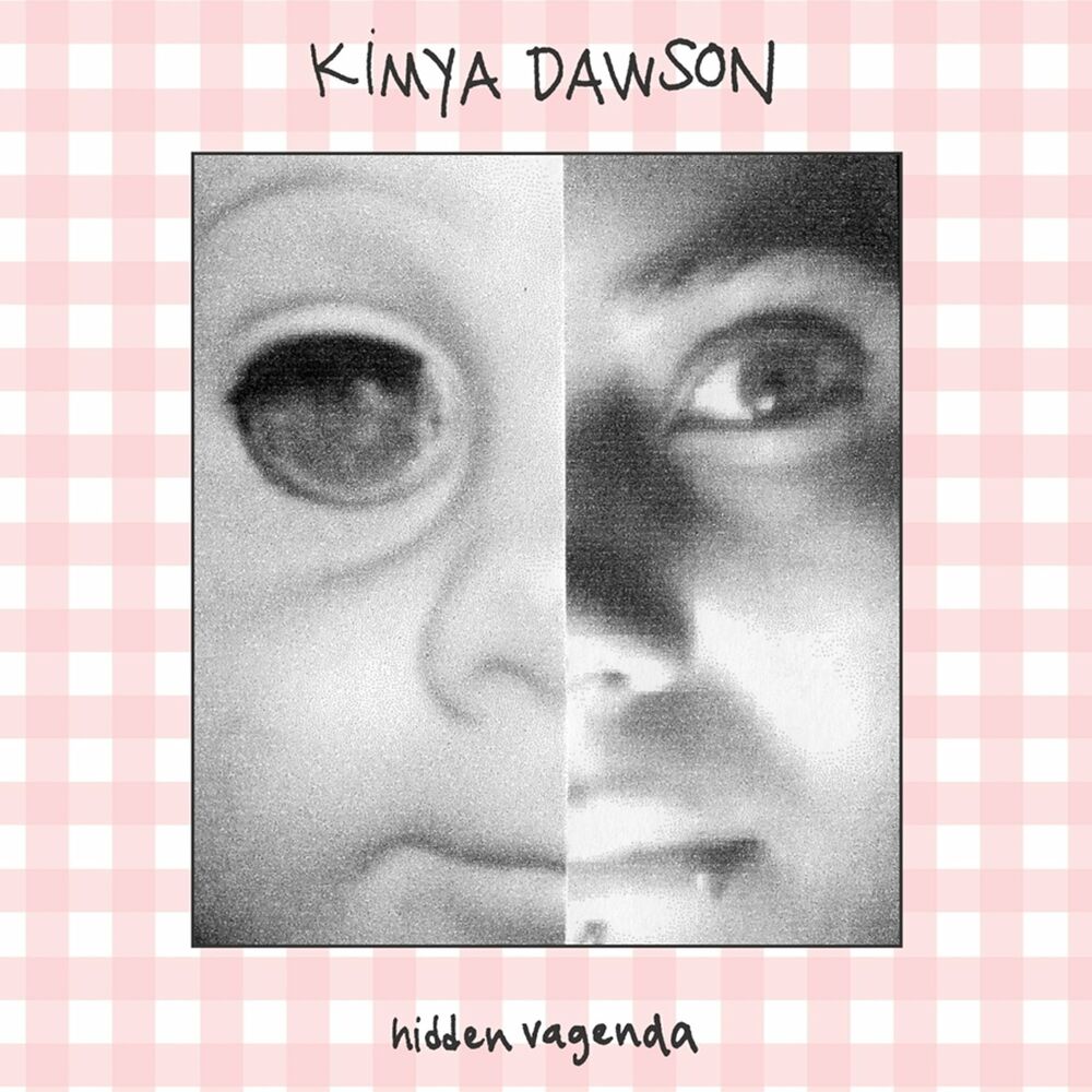 Picture of Hidden Vagenda