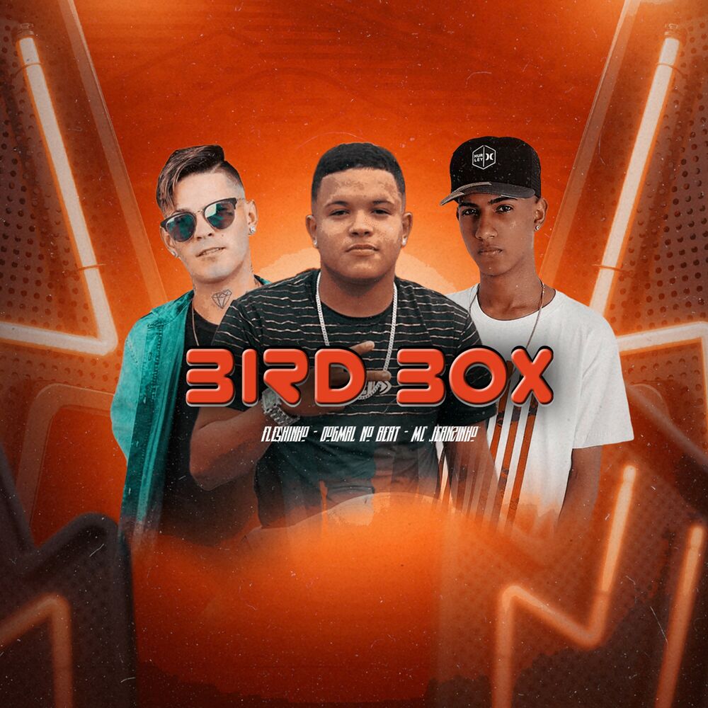 Picture of Bird Box