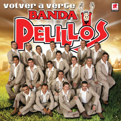 Cover of Volver a Verte